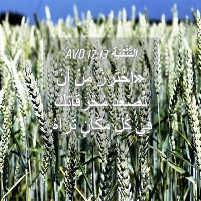 Picture 04 - اَلتَّثْنِيَة 12:13 AVD - «اِحْتَرِزْ مِنْ أَنْ - Bible Verse Picture