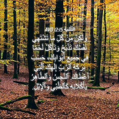 Picture 04 - اَلتَّثْنِيَة 12:15 AVD - وَلَكِنْ مِنْ كُلِّ مَا - Bible Verse Picture