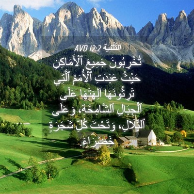 Picture 04 - اَلتَّثْنِيَة 12:2 AVD - تُخْرِبُونَ جَمِيعَ - Bible Verse Picture