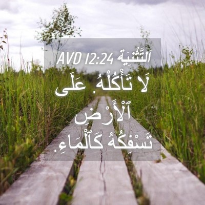 Picture 04 - اَلتَّثْنِيَة 12:24 AVD - لَا تَأْكُلْهُ. عَلَى - Bible Verse Picture