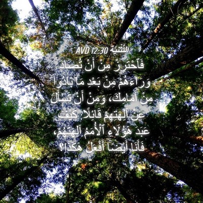 Picture 04 - اَلتَّثْنِيَة 12:30 AVD - فَٱحْتَرِزْ مِنْ أَنْ - Bible Verse Picture