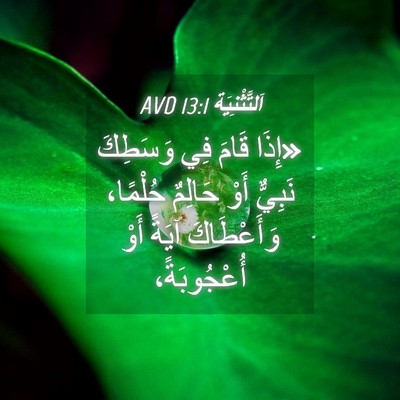 Picture 04 - اَلتَّثْنِيَة 13:1 AVD - «إِذَا قَامَ فِي وَسَطِكَ - Bible Verse Picture