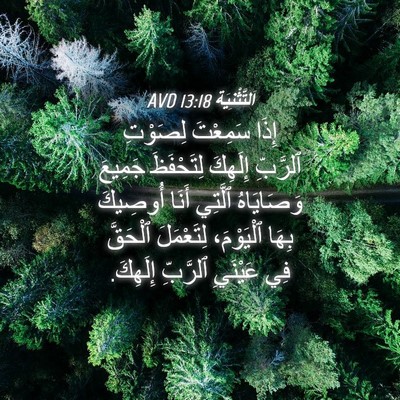 Picture 04 - اَلتَّثْنِيَة 13:18 AVD - إِذَا سَمِعْتَ لِصَوْتِ - Bible Verse Picture