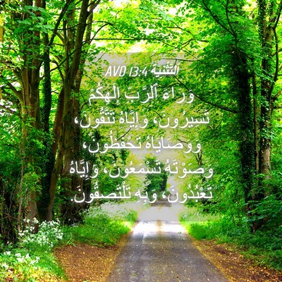 Picture 04 - اَلتَّثْنِيَة 13:4 AVD - وَرَاءَ ٱلرَّبِّ - Bible Verse Picture