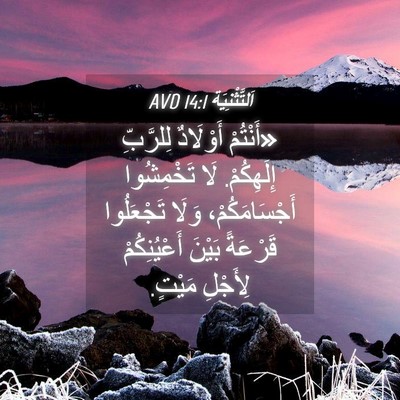 Picture 04 - اَلتَّثْنِيَة 14:1 AVD - «أَنْتُمْ أَوْلَادٌ - Bible Verse Picture