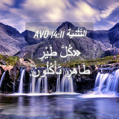 Picture 04 - اَلتَّثْنِيَة 14:11 AVD - «كُلَّ طَيْرٍ طَاهِرٍ - Bible Verse Picture