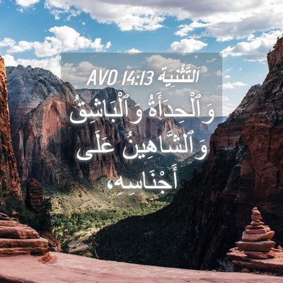Picture 04 - اَلتَّثْنِيَة 14:13 AVD - وَٱلْحِدَأَةُ - Bible Verse Picture