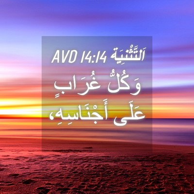 Picture 04 - اَلتَّثْنِيَة 14:14 AVD - وَكُلُّ غُرَابٍ عَلَى - Bible Verse Picture