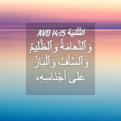 Picture 04 - اَلتَّثْنِيَة 14:15 AVD - وَٱلنَّعَامَةُ - Bible Verse Picture