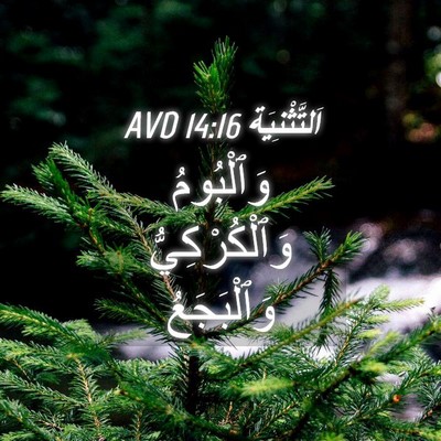 Picture 04 - اَلتَّثْنِيَة 14:16 AVD - وَٱلْبُومُ وَٱلْكُرْكِيُّ - Bible Verse Picture