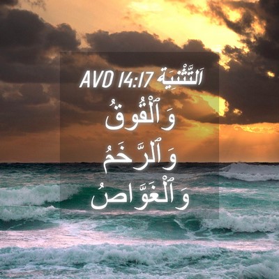 Picture 04 - اَلتَّثْنِيَة 14:17 AVD - وَٱلْقُوقُ وَٱلرَّخَمُ - Bible Verse Picture