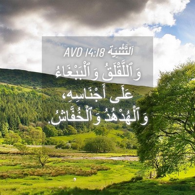 Picture 04 - اَلتَّثْنِيَة 14:18 AVD - وَٱللَّقْلَقُ - Bible Verse Picture