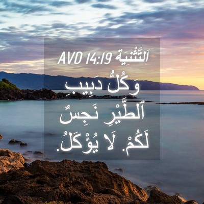 Picture 04 - اَلتَّثْنِيَة 14:19 AVD - وَكُلُّ دَبِيبِ ٱلطَّيْرِ - Bible Verse Picture