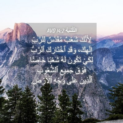 Picture 04 - اَلتَّثْنِيَة 14:2 AVD - لِأَنَّكَ شَعْبٌ - Bible Verse Picture