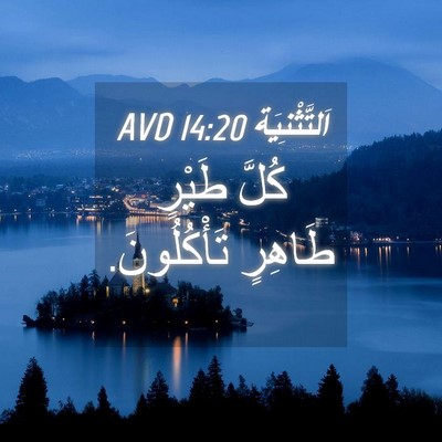 Picture 04 - اَلتَّثْنِيَة 14:20 AVD - كُلَّ طَيْرٍ طَاهِرٍ - Bible Verse Picture