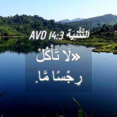 Picture 04 - اَلتَّثْنِيَة 14:3 AVD - «لَا تَأْكُلْ رِجْسًا - Bible Verse Picture