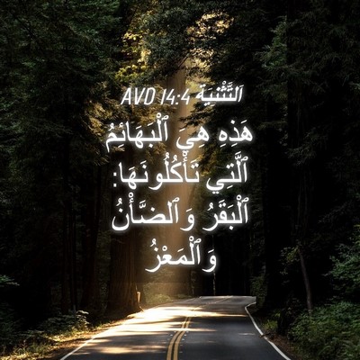 Picture 04 - اَلتَّثْنِيَة 14:4 AVD - هَذِهِ هِيَ ٱلْبَهَائِمُ - Bible Verse Picture