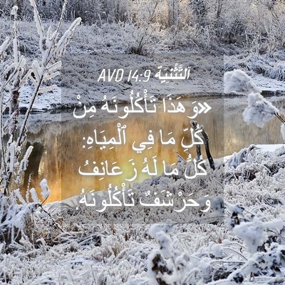 Picture 04 - اَلتَّثْنِيَة 14:9 AVD - «وَهَذَا تَأْكُلُونَهُ - Bible Verse Picture