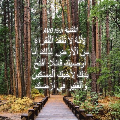 Picture 04 - اَلتَّثْنِيَة 15:11 AVD - لِأَنَّهُ لَا تُفْقَدُ - Bible Verse Picture