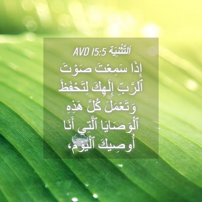 Picture 04 - اَلتَّثْنِيَة 15:5 AVD - إِذَا سَمِعْتَ صَوْتَ - Bible Verse Picture