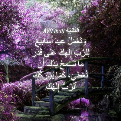 Picture 04 - اَلتَّثْنِيَة 16:10 AVD - وَتَعْمَلُ عِيدَ - Bible Verse Picture