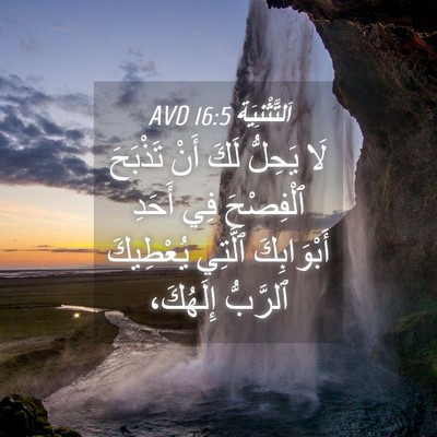 Picture 04 - اَلتَّثْنِيَة 16:5 AVD - لَا يَحِلُّ لَكَ أَنْ - Bible Verse Picture