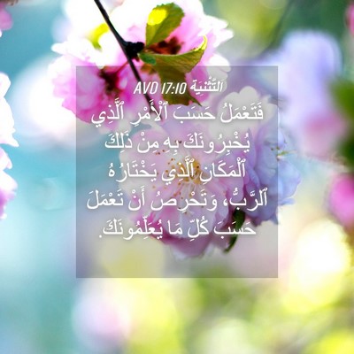 Picture 04 - اَلتَّثْنِيَة 17:10 AVD - فَتَعْمَلُ حَسَبَ - Bible Verse Picture