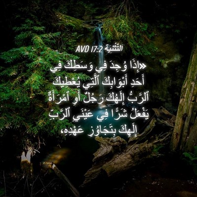 Picture 04 - اَلتَّثْنِيَة 17:2 AVD - «إِذَا وُجِدَ فِي وَسَطِكَ - Bible Verse Picture