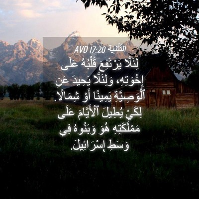 Picture 04 - اَلتَّثْنِيَة 17:20 AVD - لِئَلَّا يَرْتَفِعَ - Bible Verse Picture