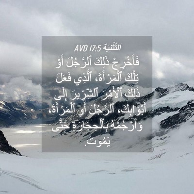 Picture 04 - اَلتَّثْنِيَة 17:5 AVD - فَأَخْرِجْ ذَلِكَ - Bible Verse Picture