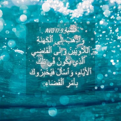 Picture 04 - اَلتَّثْنِيَة 17:9 AVD - وَٱذْهَبْ إِلَى - Bible Verse Picture