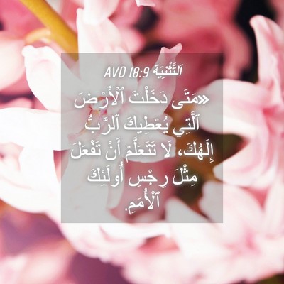 Picture 04 - اَلتَّثْنِيَة 18:9 AVD - «مَتَى دَخَلْتَ ٱلْأَرْضَ - Bible Verse Picture