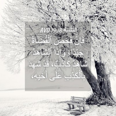Picture 04 - اَلتَّثْنِيَة 19:18 AVD - فَإِنْ فَحَصَ ٱلْقُضَاةُ - Bible Verse Picture