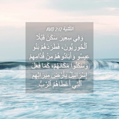 Picture 04 - اَلتَّثْنِيَة 2:12 AVD - وَفِي سِعِيرَ سَكَنَ - Bible Verse Picture