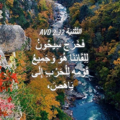 Picture 04 - اَلتَّثْنِيَة 2:32 AVD - فَخَرَجَ سِيحُونُ - Bible Verse Picture