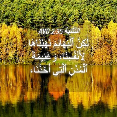 Picture 04 - اَلتَّثْنِيَة 2:35 AVD - لَكِنَّ ٱلْبَهَائِمَ - Bible Verse Picture