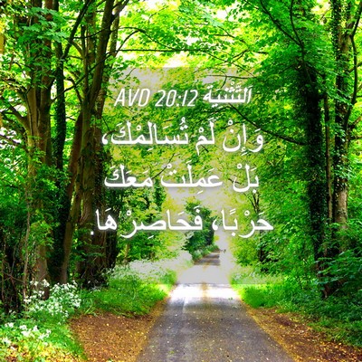 Picture 04 - اَلتَّثْنِيَة 20:12 AVD - وَإِنْ لَمْ تُسَالِمْكَ، - Bible Verse Picture