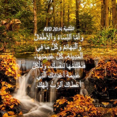 Picture 04 - اَلتَّثْنِيَة 20:14 AVD - وَأَمَّا ٱلنِّسَاءُ - Bible Verse Picture