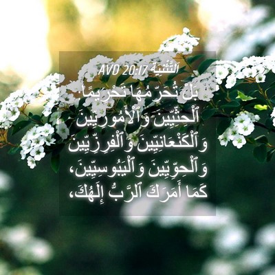 Picture 04 - اَلتَّثْنِيَة 20:17 AVD - بَلْ تُحَرِّمُهَا - Bible Verse Picture