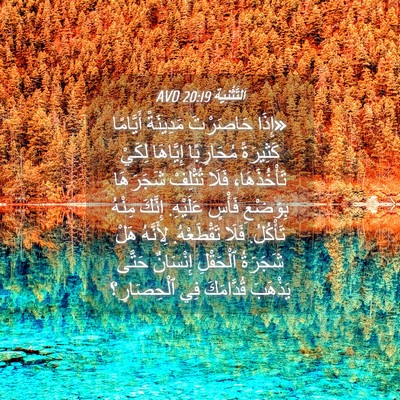 Picture 04 - اَلتَّثْنِيَة 20:19 AVD - «إِذَا حَاصَرْتَ - Bible Verse Picture