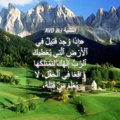 Picture 04 - اَلتَّثْنِيَة 21:1 AVD - «إِذَا وُجِدَ قَتِيلٌ فِي - Bible Verse Picture