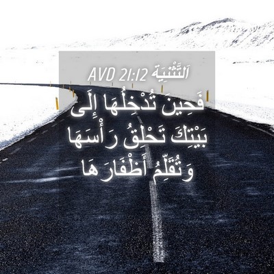 Picture 04 - اَلتَّثْنِيَة 21:12 AVD - فَحِينَ تُدْخِلُهَا إِلَى - Bible Verse Picture