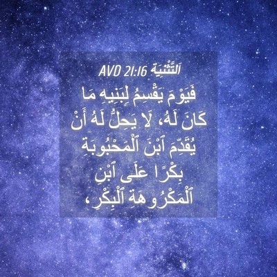 Picture 04 - اَلتَّثْنِيَة 21:16 AVD - فَيَوْمَ يَقْسِمُ - Bible Verse Picture