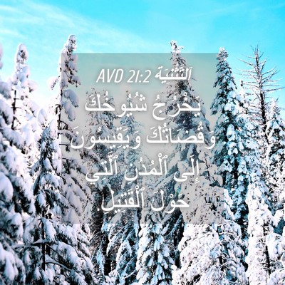 Picture 04 - اَلتَّثْنِيَة 21:2 AVD - يَخْرُجُ شُيُوخُكَ - Bible Verse Picture