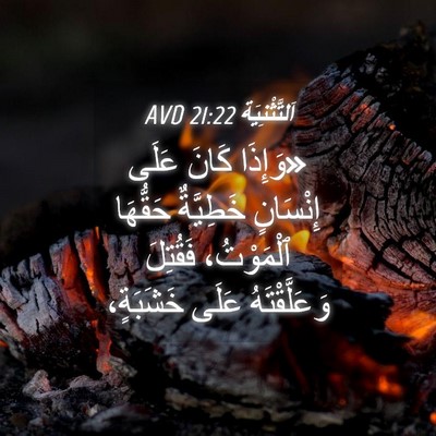 Picture 04 - اَلتَّثْنِيَة 21:22 AVD - «وَإِذَا كَانَ عَلَى - Bible Verse Picture