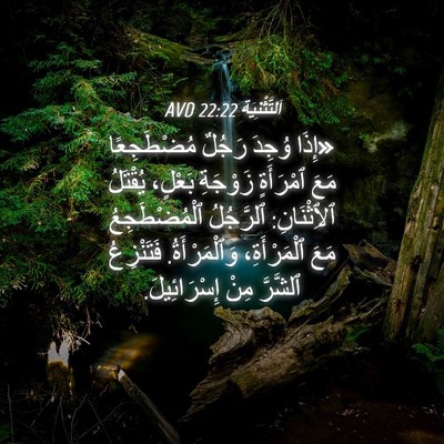 Picture 04 - اَلتَّثْنِيَة 22:22 AVD - «إِذَا وُجِدَ رَجُلٌ - Bible Verse Picture