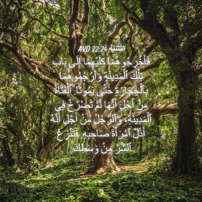 Picture 04 - اَلتَّثْنِيَة 22:24 AVD - فَأَخْرِجُوهُمَا - Bible Verse Picture