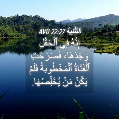 Picture 04 - اَلتَّثْنِيَة 22:27 AVD - إِنَّهُ فِي ٱلْحَقْلِ - Bible Verse Picture