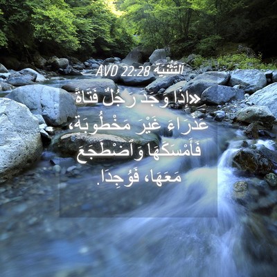 Picture 04 - اَلتَّثْنِيَة 22:28 AVD - «إِذَا وَجَدَ رَجُلٌ - Bible Verse Picture