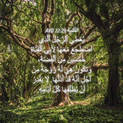 Picture 04 - اَلتَّثْنِيَة 22:29 AVD - يُعْطِي ٱلرَّجُلُ ٱلَّذِي - Bible Verse Picture